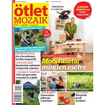 Ötlet Mozaik 2025/6