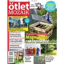 Ötlet Mozaik 2025/7