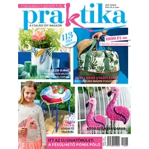 Praktika 2019/6