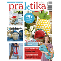 Praktika 2022/7
