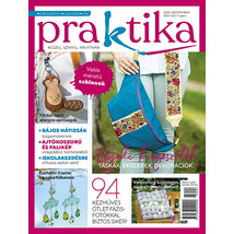 Praktika 2023/9