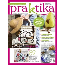 Praktika 2024/4