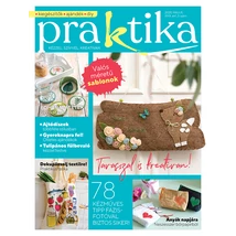 Praktika 2025/3