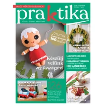Praktika 2025/7