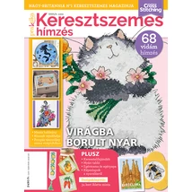 Praktika keresztszemes hímzés 2025/4