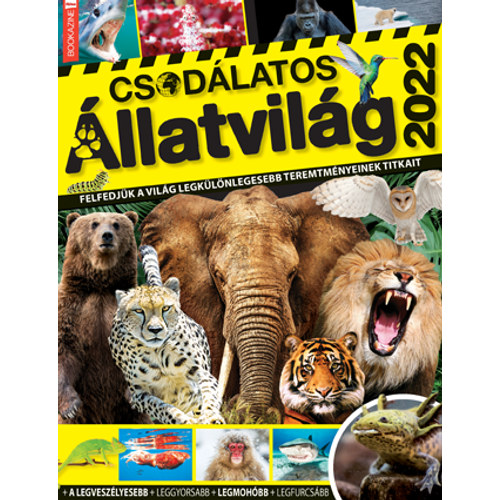Füles bookazine 2022/4 - csodálatos állatvilág 2022