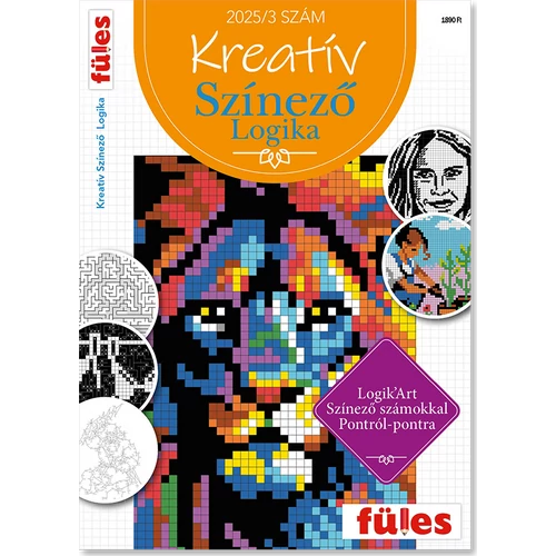 Kreatív színező logika 2025/4