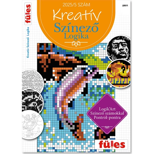 Kreatív színező logika 2025/5