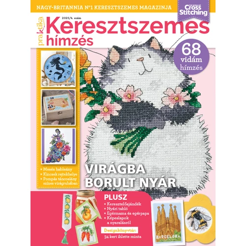 Praktika keresztszemes hímzés 2025/4