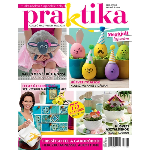 Praktika 2019/4