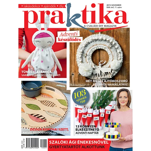 Praktika 2019/11