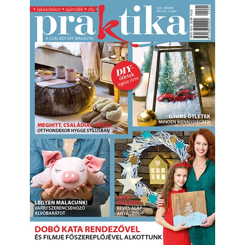 Praktika 2021/1