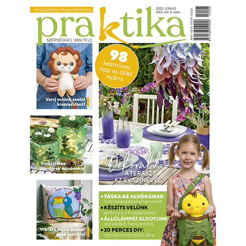 Praktika 2022/6