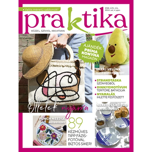 Praktika 2024/4