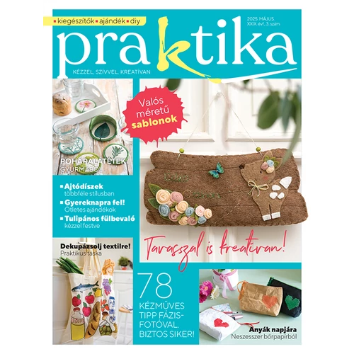 Praktika 2025/3
