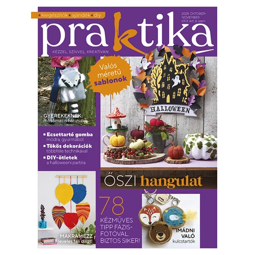 Praktika 2025/6