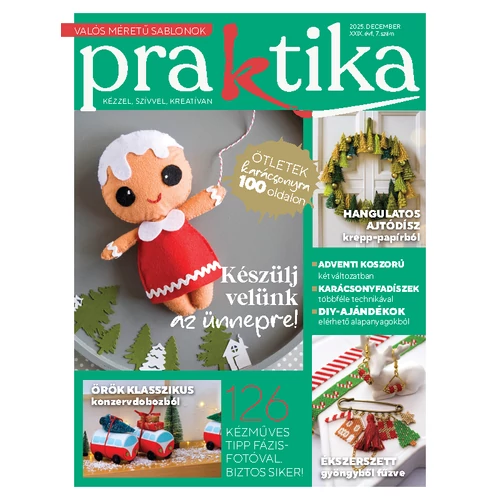 Praktika 2025/7