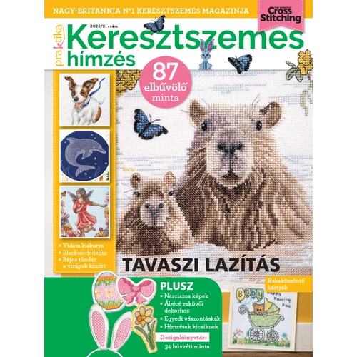 Praktika keresztszemes hímzés 2026/2